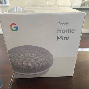 Google Home Mini- google assistant